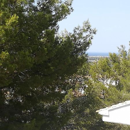 פדרגר Buganvilla מראה חיצוני תמונה