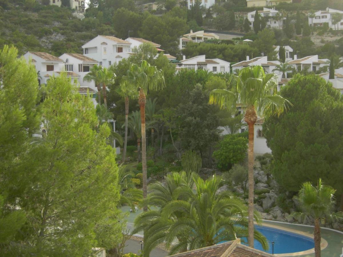 פדרגר Buganvilla מראה חיצוני תמונה