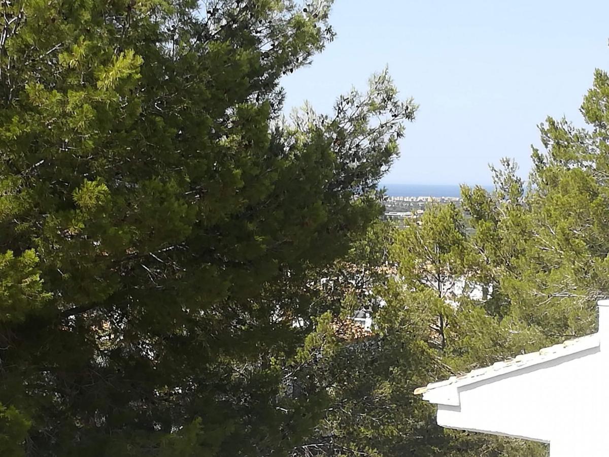 פדרגר Buganvilla מראה חיצוני תמונה